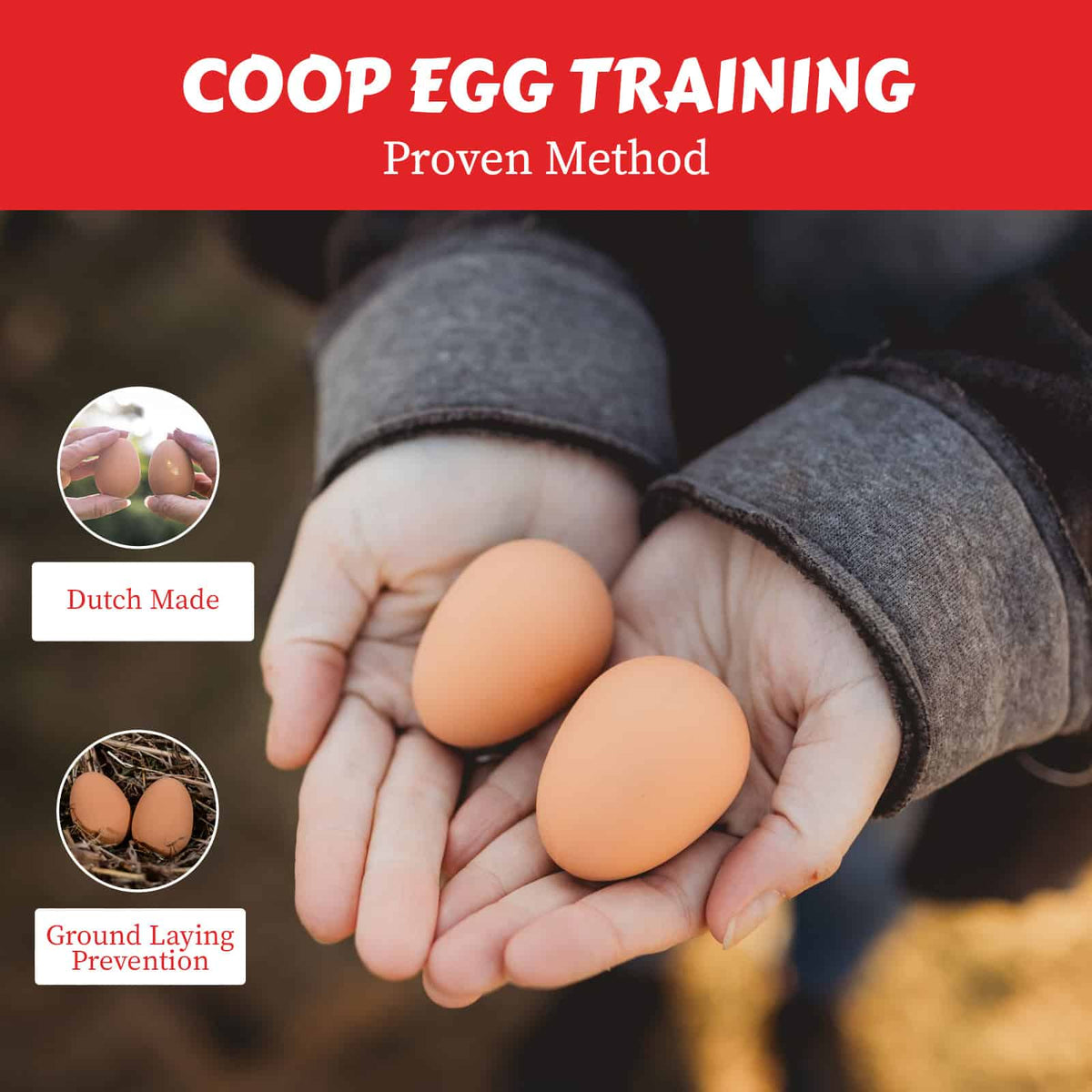 Brown Rubber Chicken Nest Eggs, Pair | Durable Nest Box Training Eggs