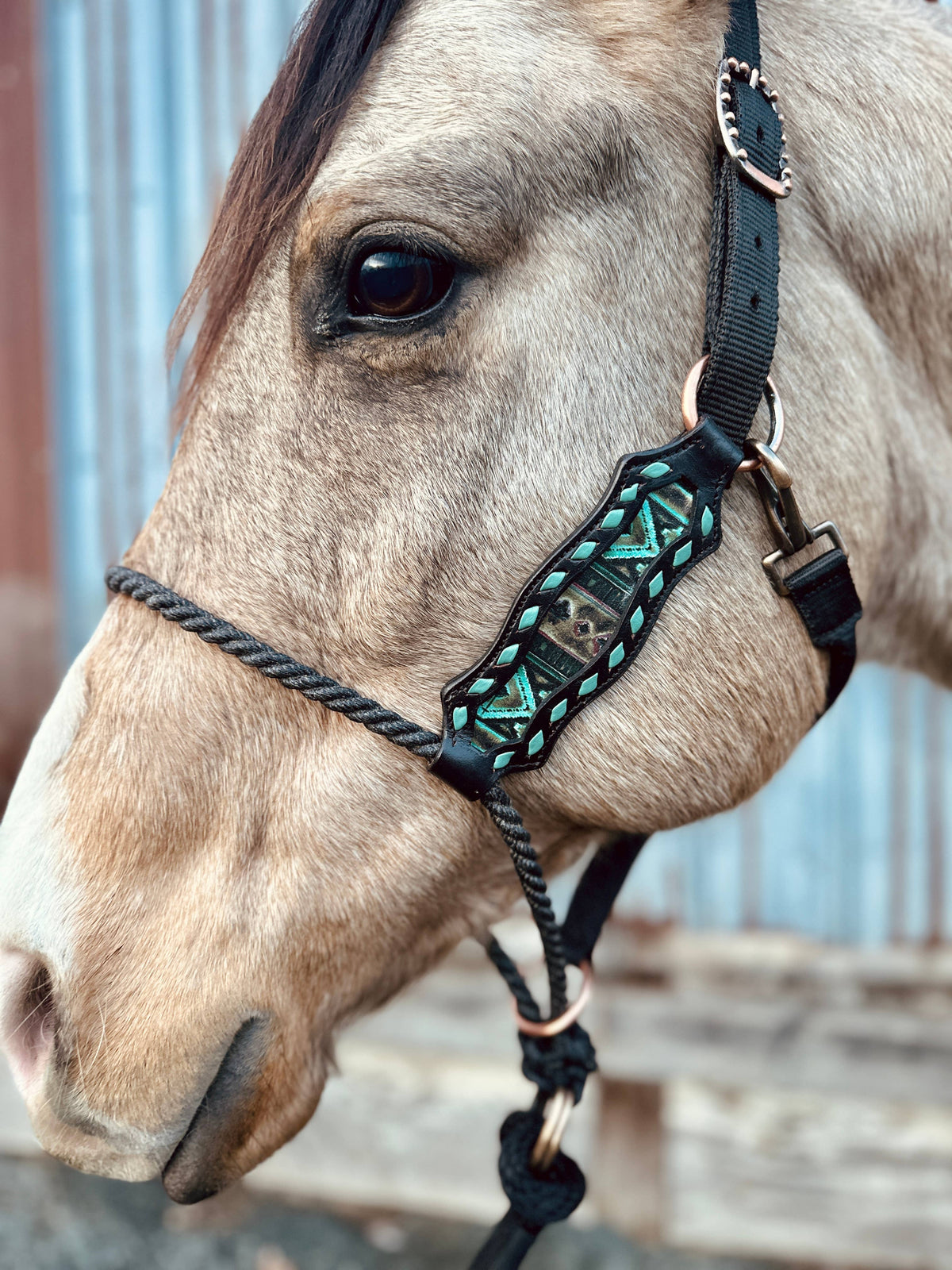 Lariat Nose Halter