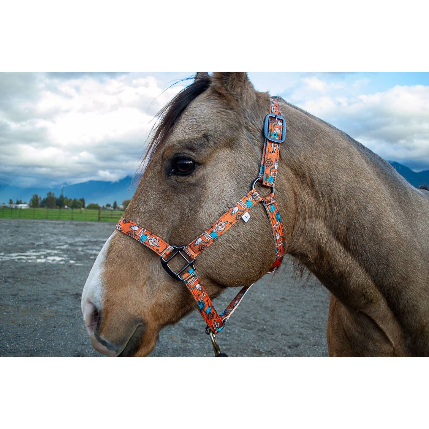 Nylon Halter - Horse Size