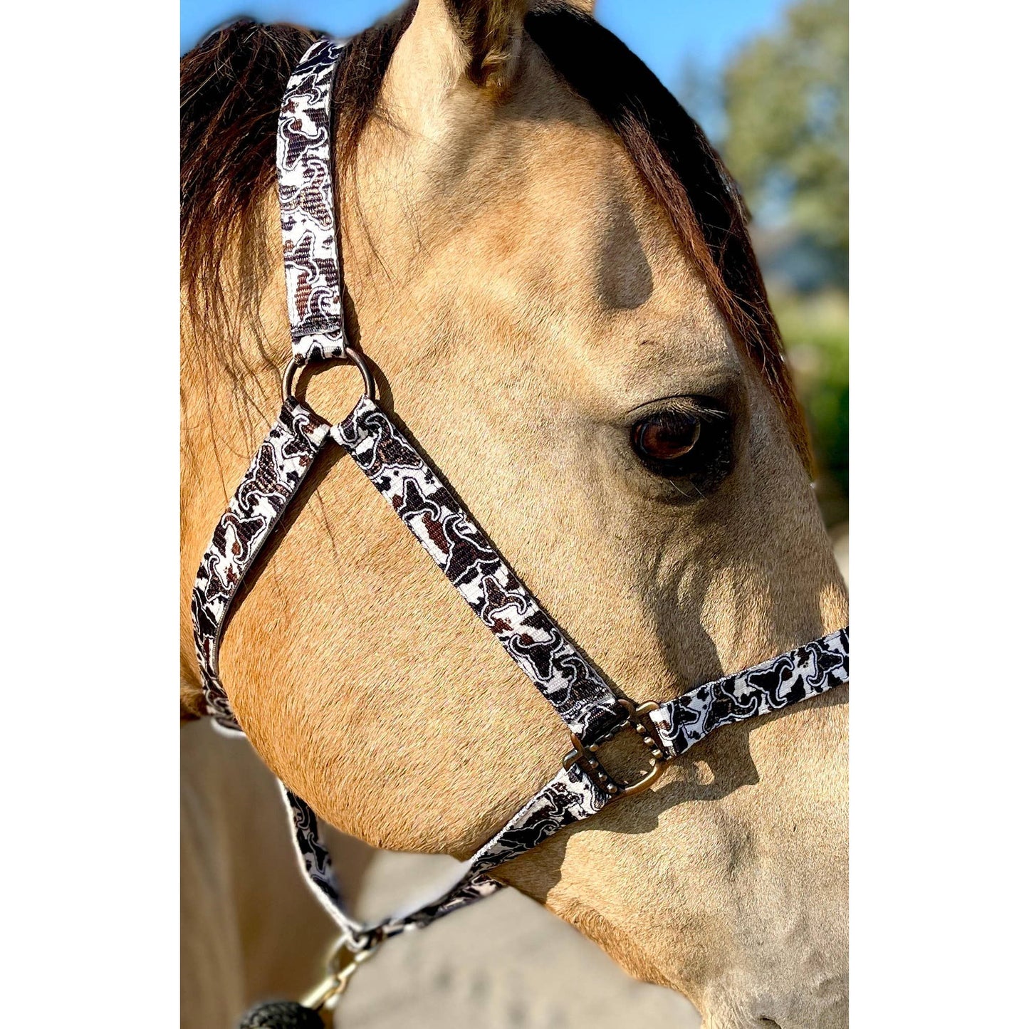 Nylon Halter - Horse Size