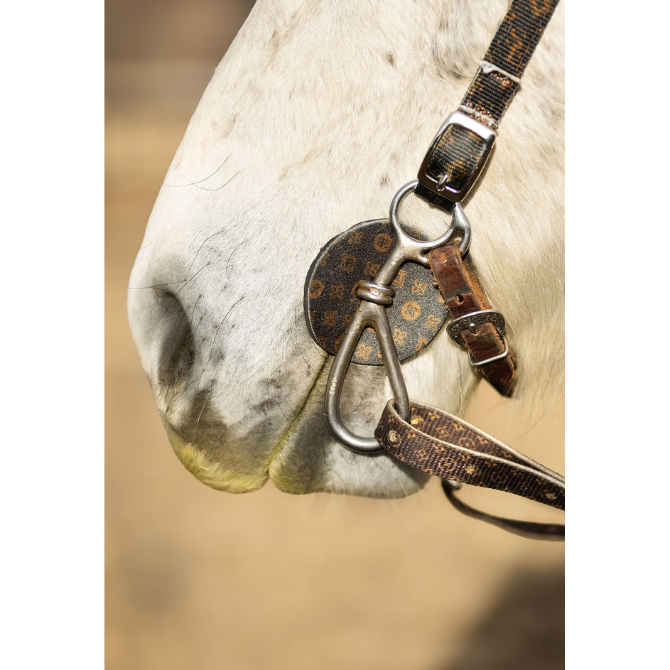 Neoprene Bit Guard