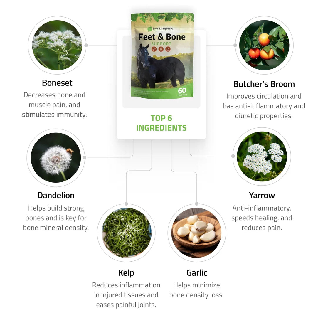 Silver Lining Herbs Feet & Bone 60 day 1LB