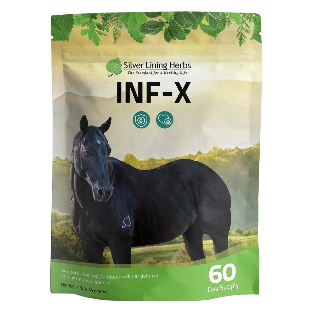 Silver Lining Herbs INF-X