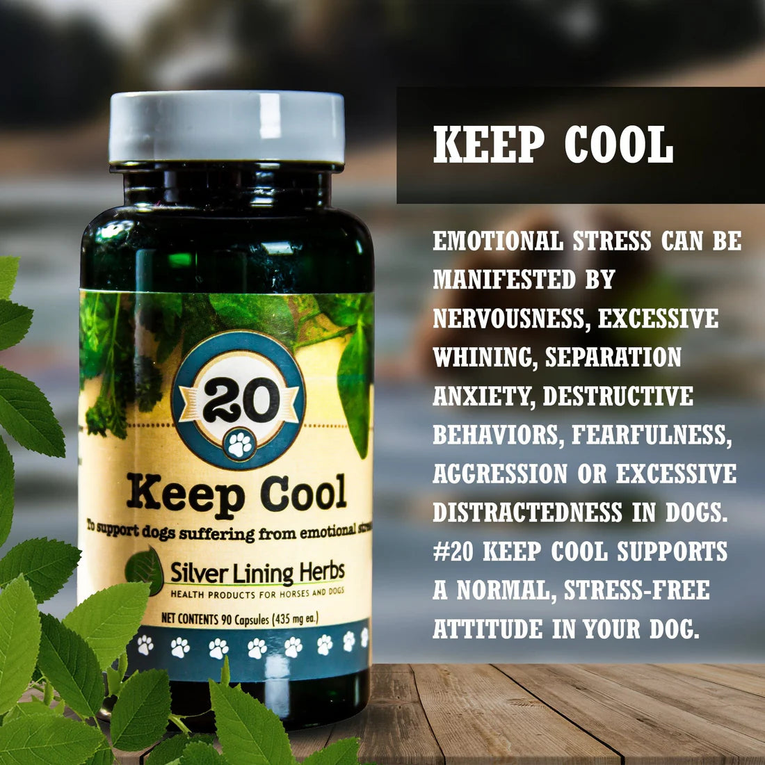 Silver Lining Herbs Keep Cool for Dogs 90caps