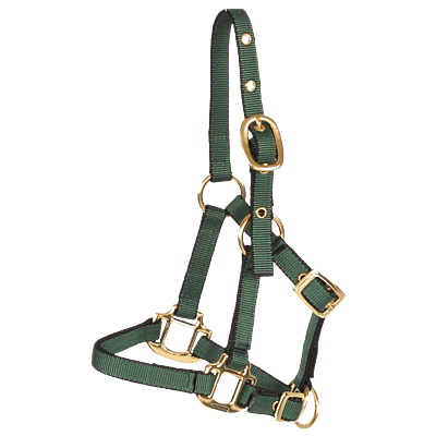 Burwash Miniature Nylon Halter