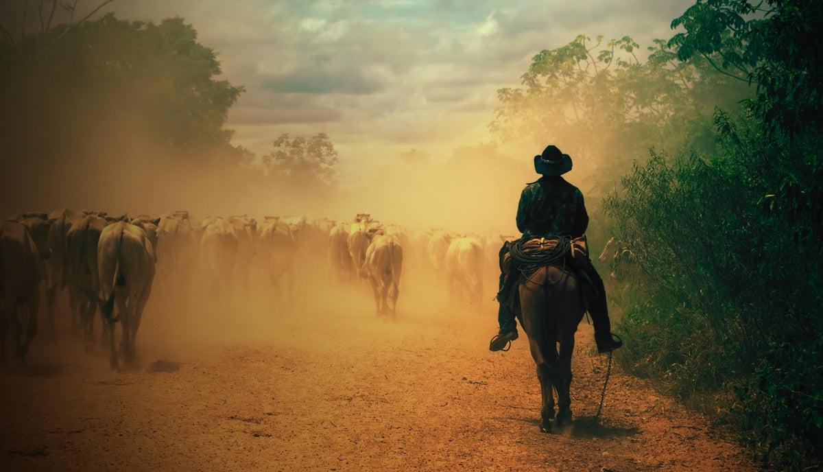 Ranchmans Farm & Feed Store ‘ we are more than just a feed store!