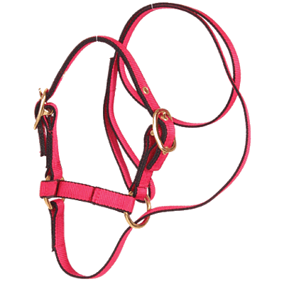 Burwash Sheep Halter with Attached Lead