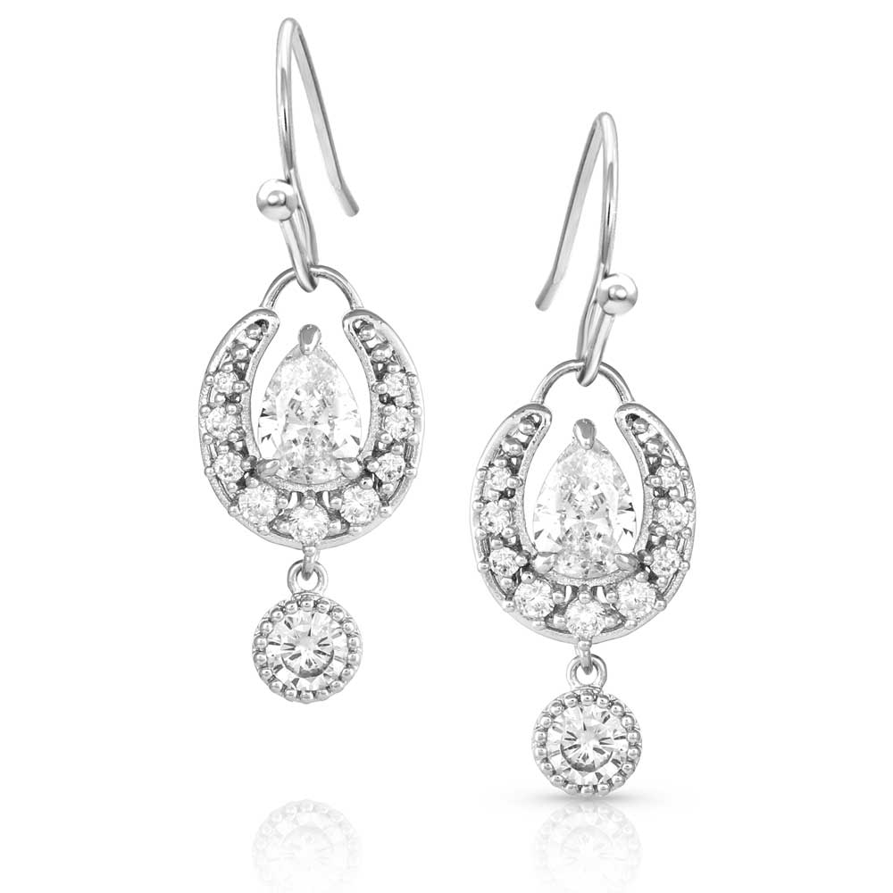 Frozen Dew Drops Crystal Earrings